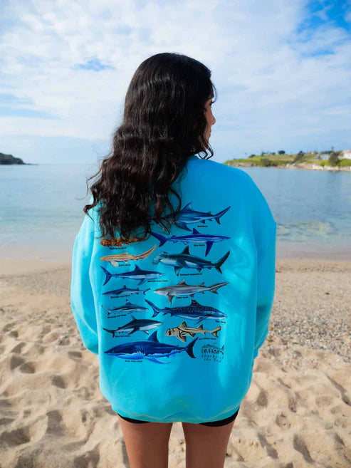 Sharky sweatshirt